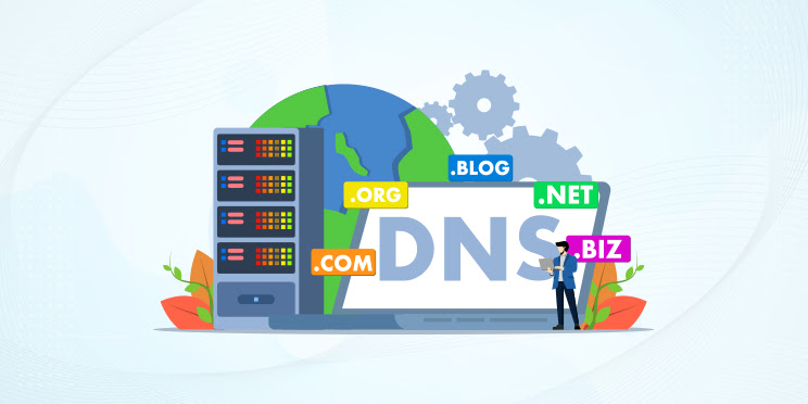 Domain and Hosting